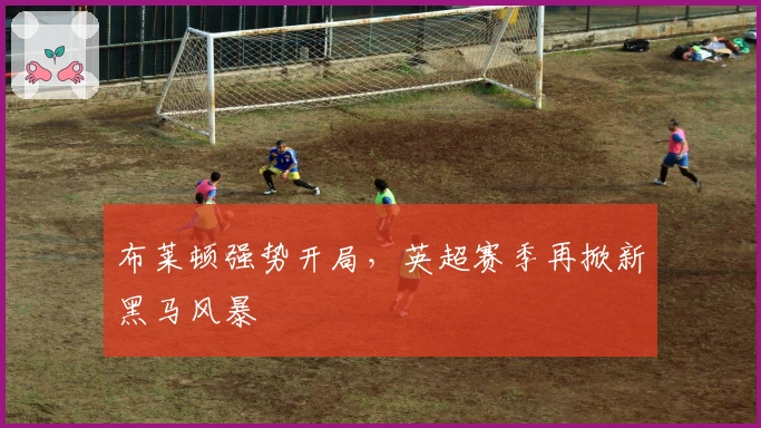 布莱顿强势开局，英超赛季再掀新黑马风暴