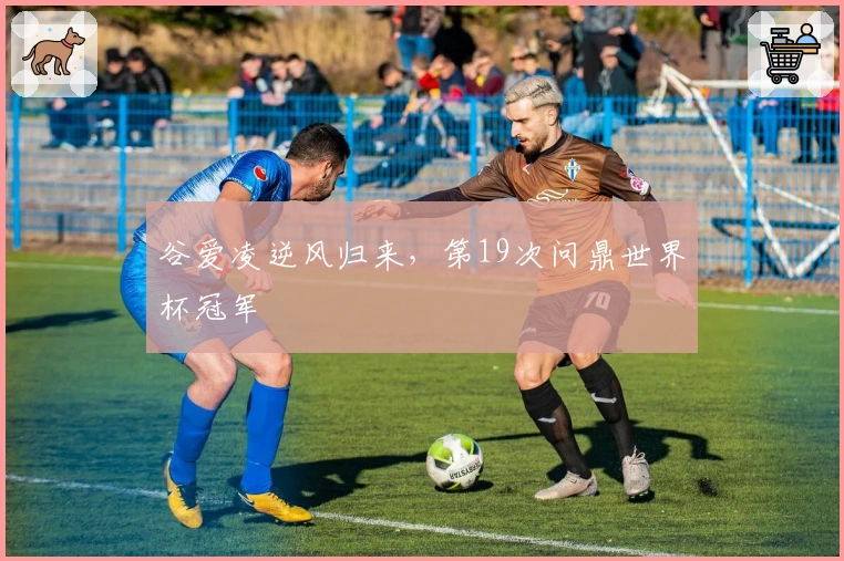 谷爱凌逆风归来，第19次问鼎世界杯冠军